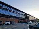 스프링사운즈 사진