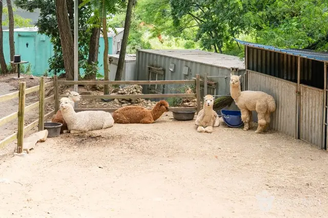 쥬쥬동산 사진