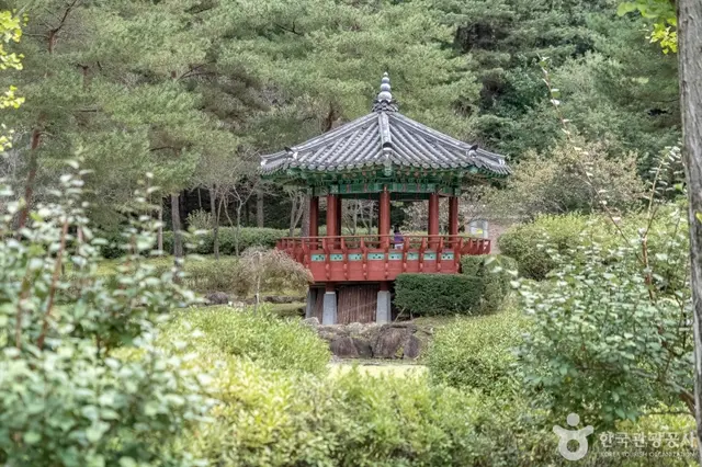 공작산생태숲 사진