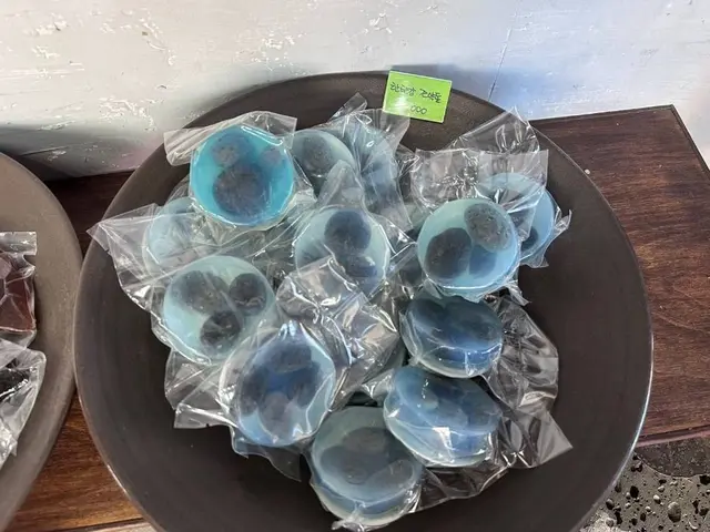다빈치공방 사진
