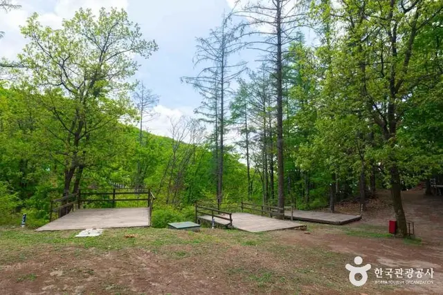설매재자연휴양림 사진