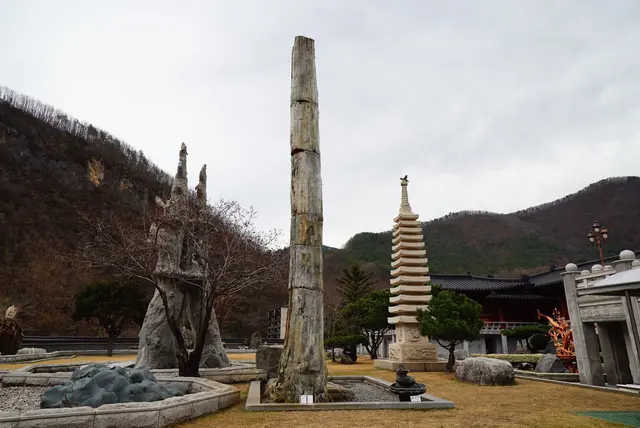 강원종합박물관 사진
