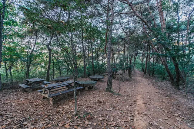 좌구산 자연휴양림 사진