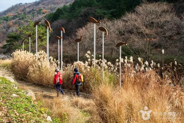울산수목원 사진