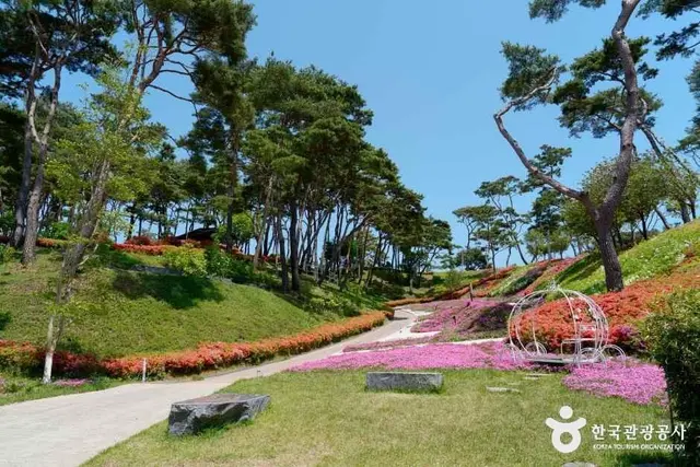 홍성솔바람테마파크 사진