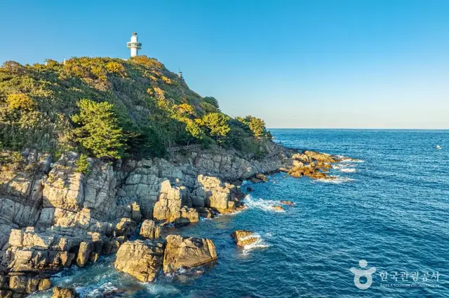 죽도산전망대 사진