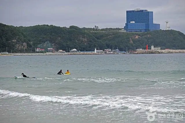 금진해변 사진