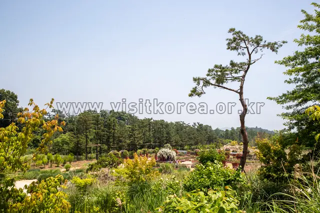 바다향기수목원 사진
