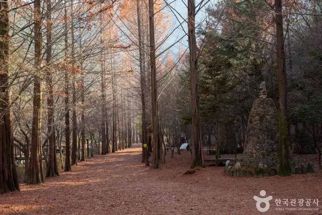 상소동 산림욕장 사진