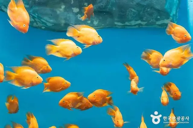 충북아쿠아리움 사진