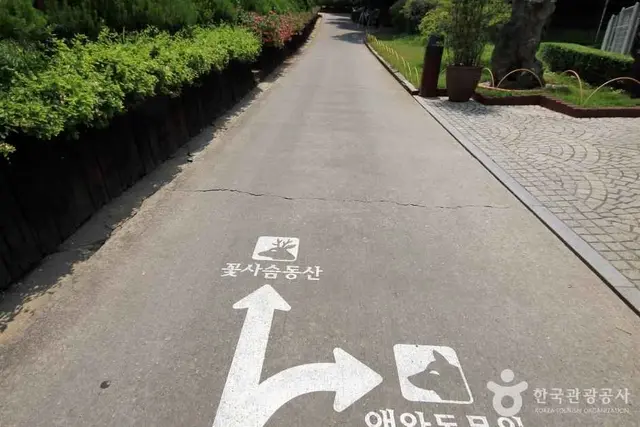베어트리파크 사진