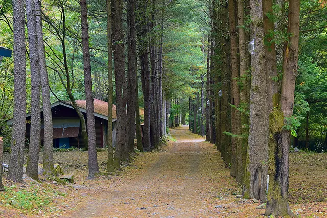 아버지의숲 산정캠프 사진