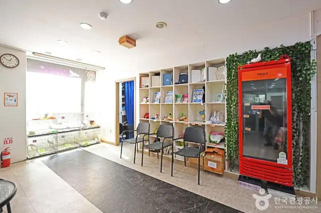 미리내마술극단 마술학교 사진