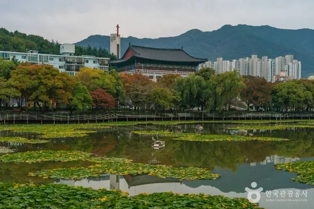 성당못 사진