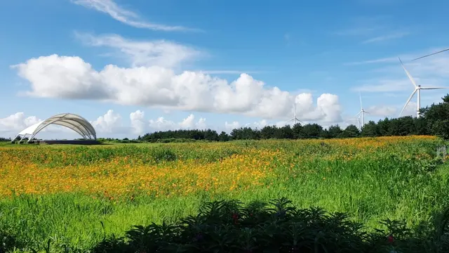 조랑말체험공원 사진