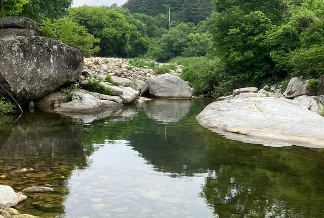 월성계곡산장 사진