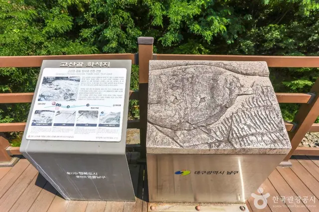 고산골 공룡공원 사진