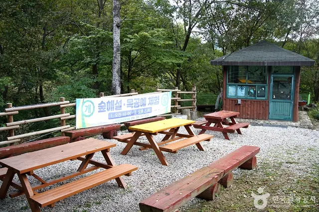 치악산자연휴양림 사진