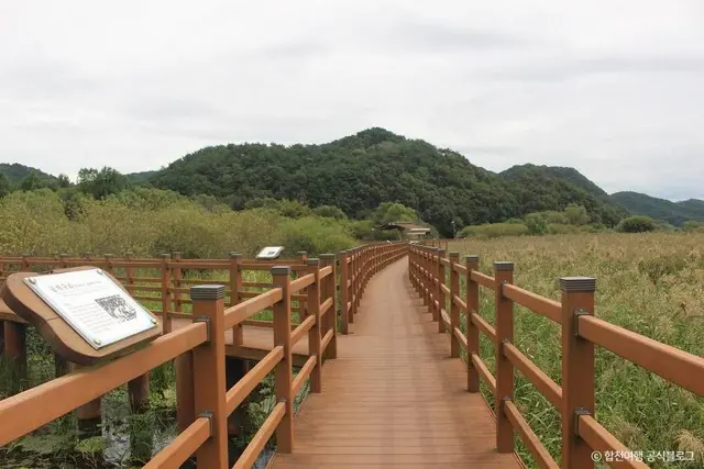 정양늪생태공원 사진