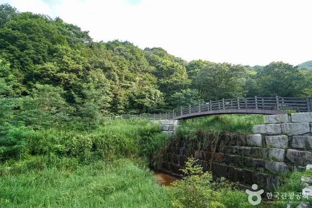 산삼 자연휴양림 사진