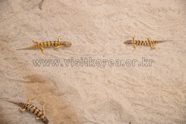 담양곤충박물관 사진
