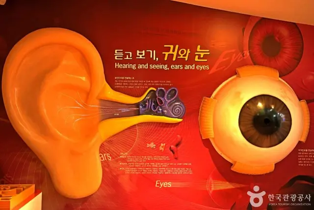 홍천생명건강과학관 사진
