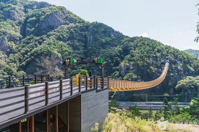 월영산 출렁다리 사진