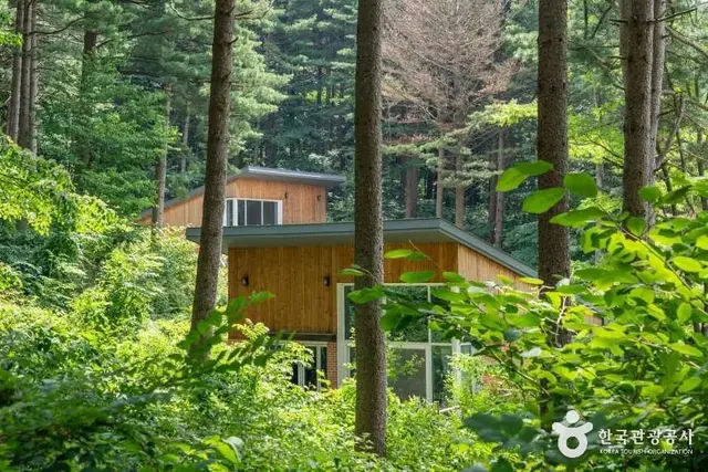 국립 청태산자연휴양림 사진