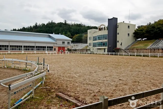 복용승마장 사진