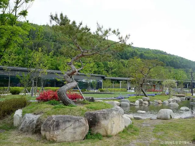 라원 사진