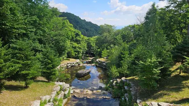 금원산자연휴양림 사진