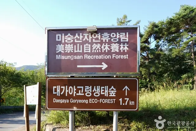 미숭산자연휴양림 사진