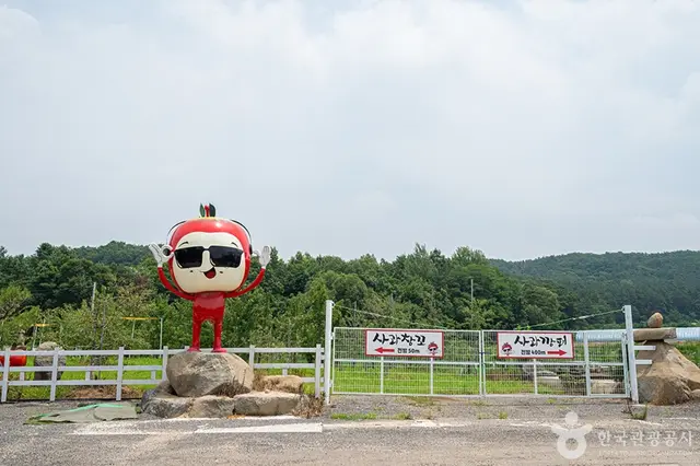 사과깡패 사진