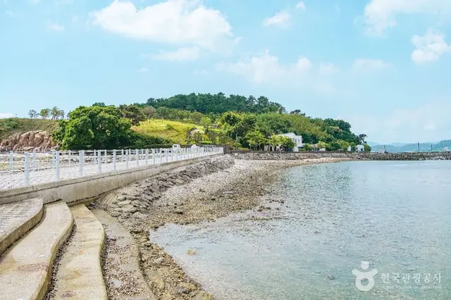 예술의 섬 장도 사진