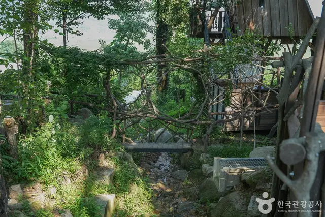 톰아저씨트리하우스 사진