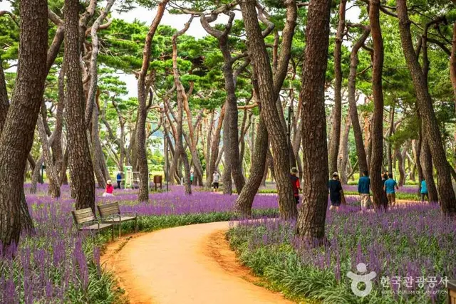 황성공원 사진