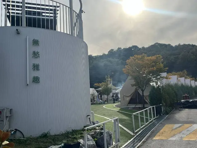 무수아취 사진
