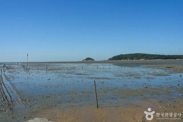 마시안갯벌체험장 사진