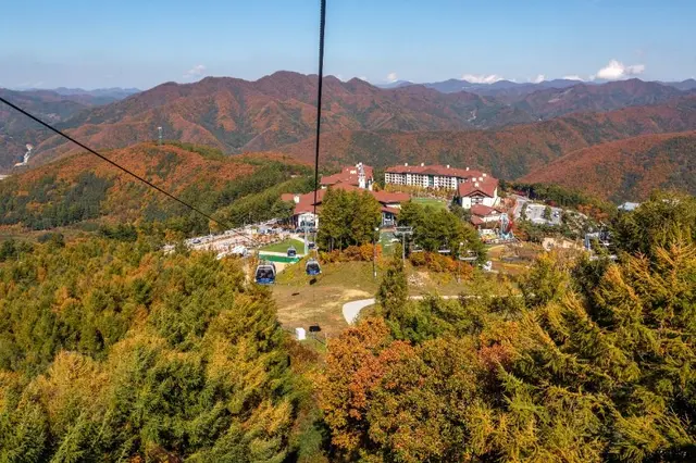 하이원리조트 사진