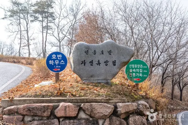 안동호반자연휴양림 사진