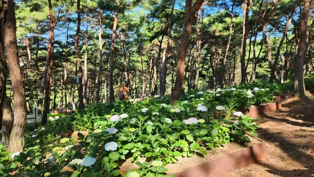 지리산정원 유아숲체험원 사진