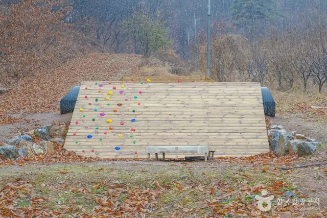 헤이리농원 사진