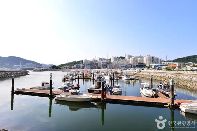 여수 아그리나 요트투어 사진