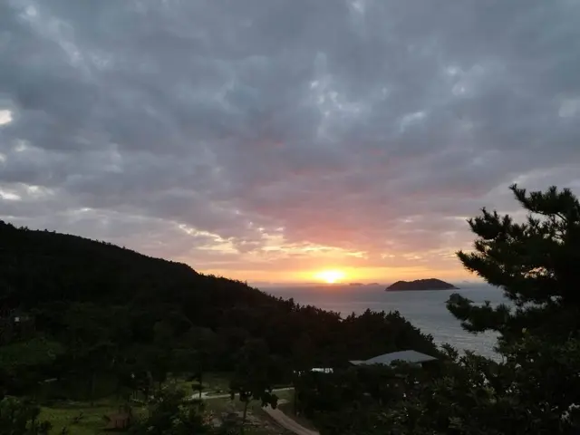 국립진도자연휴양림 사진