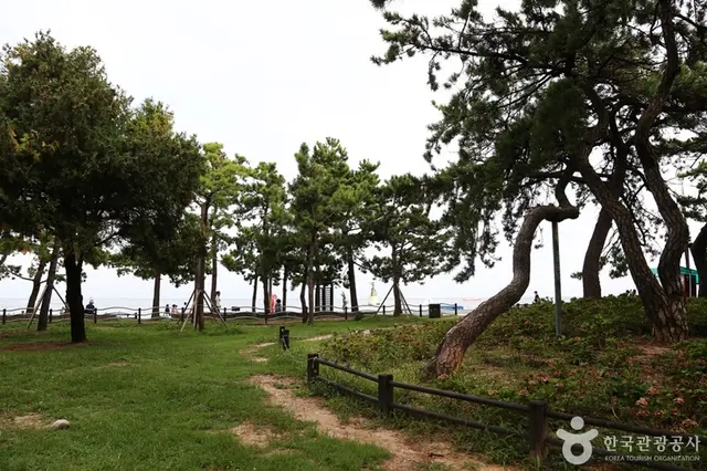 송림공원 사진