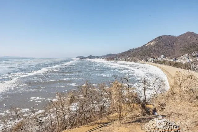 동막해변 사진