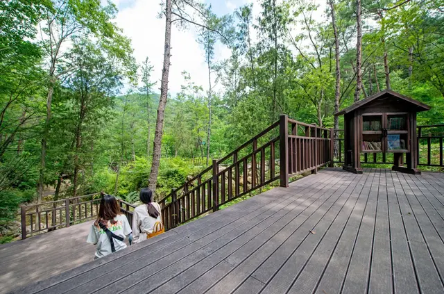 부산 치유의 숲 사진
