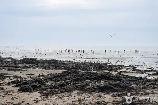 제부리어촌체험마을 사진
