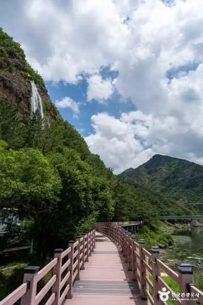 월영산 출렁다리 사진