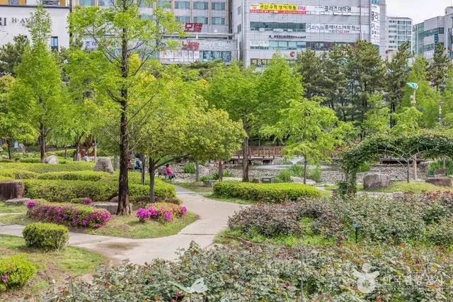 장미원 사진